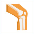Orthopedic Care